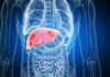 Seladelpar Reduces Liver Injury in Patients With PBC With and Without Cirrhosis