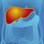 RESPONSE Study: 5-year Safety Outcomes for Seladelpar for PBC